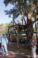 Enlarge photo 215