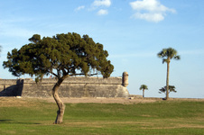 Enlarge photo 250