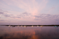 Enlarge photo 267