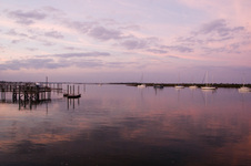 Enlarge photo 268