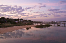 Enlarge photo 270