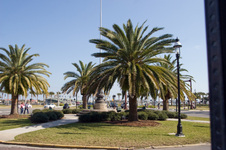 Enlarge photo 338