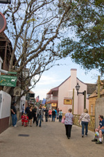 Enlarge photo 392