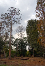 Enlarge photo 418