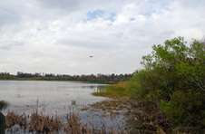 Enlarge photo 422
