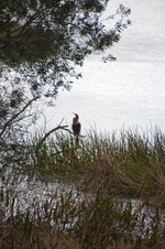 Enlarge photo 423