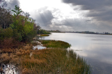 Enlarge photo 424