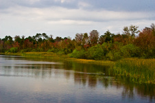 Enlarge photo 426