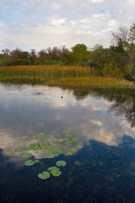 Enlarge photo 431