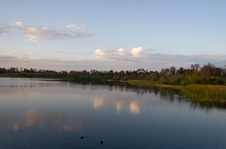 Enlarge photo 437