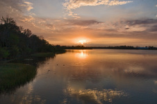 Enlarge photo 436