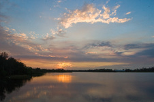 Enlarge photo 447