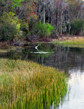Enlarge photo 438