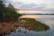 Enlarge photo 439
