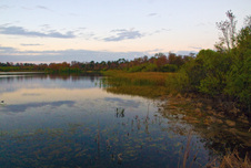 Enlarge photo 440