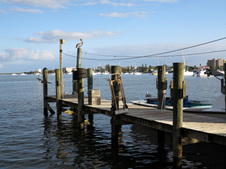 Enlarge photo 15