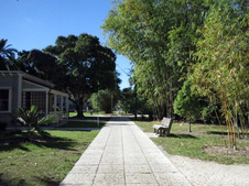 Enlarge photo 20