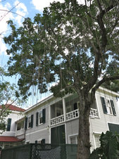 Enlarge photo 41