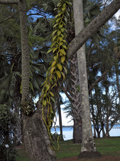 Enlarge photo 42