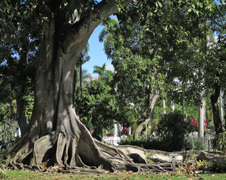 Enlarge photo 59