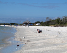 Enlarge photo 140