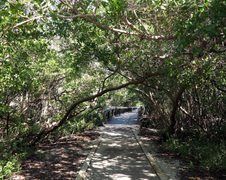Enlarge photo 143