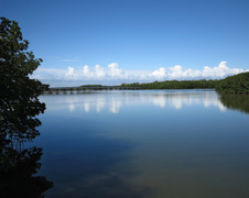 Enlarge photo 144