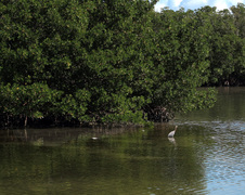 Enlarge photo 145