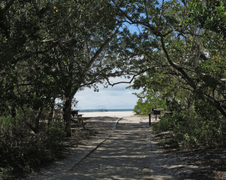 Enlarge photo 146