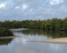 Enlarge photo 149