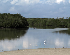 Enlarge photo 150