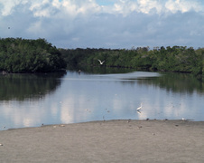 Enlarge photo 151
