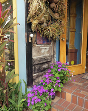 Enlarge photo 167