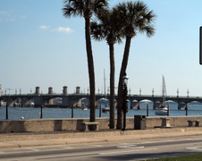 Enlarge photo 236