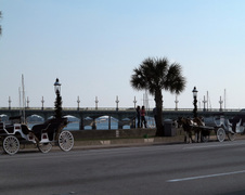 Enlarge photo 238