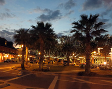 Enlarge photo 274