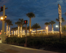 Enlarge photo 275