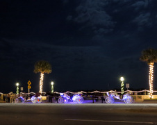 Enlarge photo 297