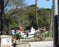 Enlarge photo 305