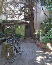 Enlarge photo 313