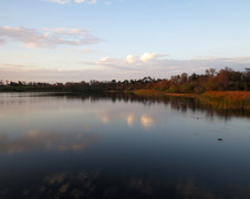 Enlarge photo 443