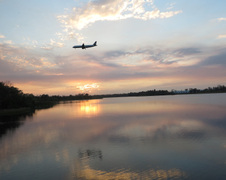 Enlarge photo 445