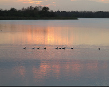 Enlarge photo 446