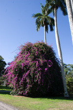 Enlarge photo 85