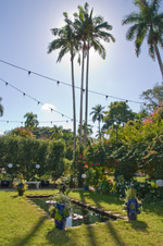 Enlarge photo 88