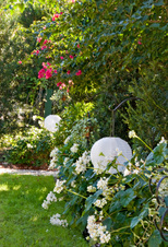 Enlarge photo 90