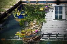 Enlarge photo 99