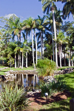 Enlarge photo 102