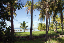 Enlarge photo 103