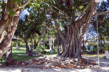 Enlarge photo 108